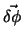 $\vec {\delta \phi}$