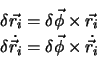 \begin{eqnarray*}
\delta \vec {r_i}=\delta \vec {\phi}\times \vec{r_i}\\
\delta \dot {\vec r_i}= \delta \vec {\phi}\times \dot {\vec r_i}
\end{eqnarray*}