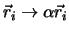 $\vec r_i \rightarrow \alpha \vec r_i$